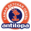 Фото Antilopa
