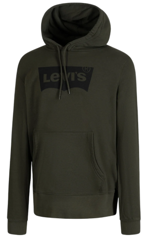 Фото Худи с логотипом мужское