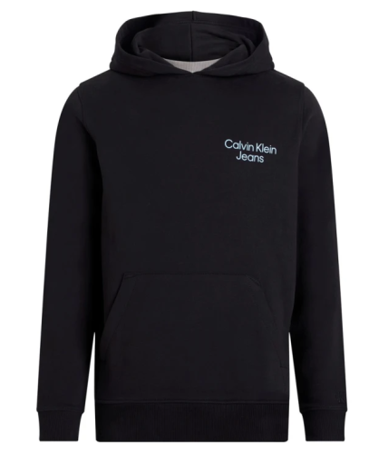 Фото Худи с логотипом мужское