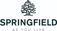 Фото Springfield