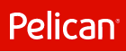 Фото PELICAN