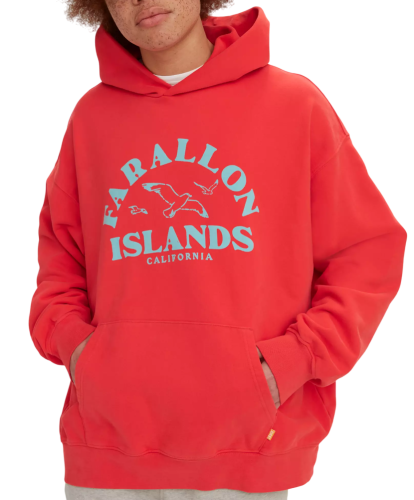 Фото Худи с принтом мужское