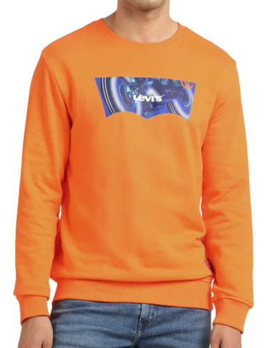 Фото Свитшот хлопковый мужской