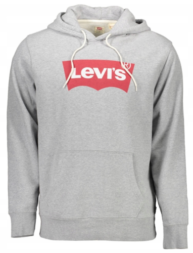 Фото Худи с логотипом мужское