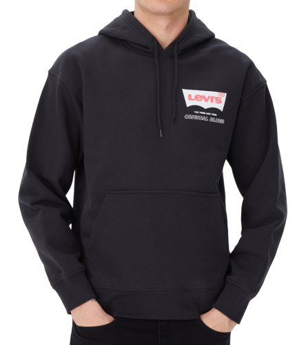 Фото Худи с логотипом мужское