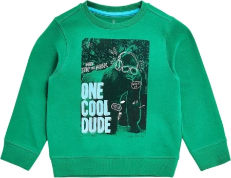 Свитшот с фотопринтом для мальчика / Зеленый / 116