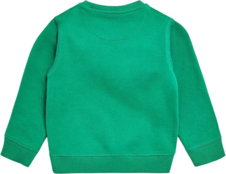 Свитшот с фотопринтом для мальчика / Зеленый / 116