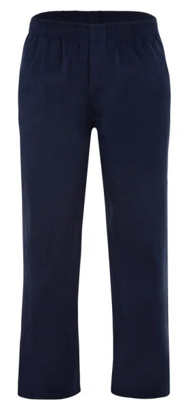 Брюки хлопковые мужские / Синий / 48