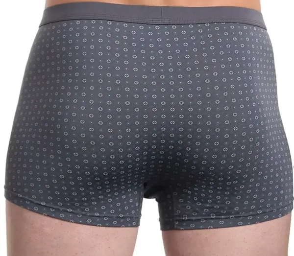 Трусы с принтом мужские / Серый / 54
