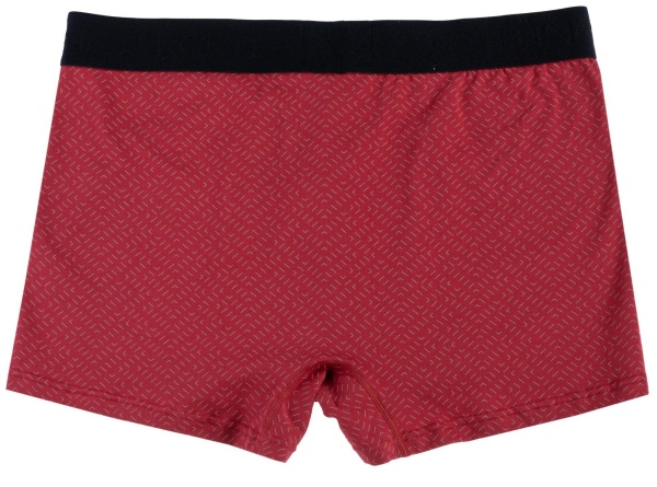 Трусы с логотипом мужские / Красный / 54
