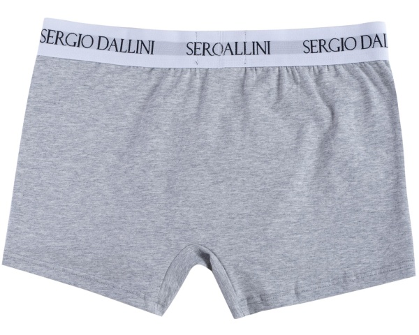 Трусы с логотипом мужские / Серый / 54