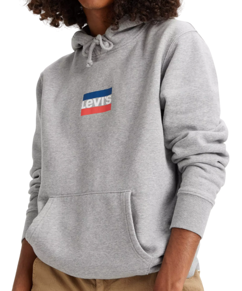 Худи с логотипом мужское / Серый / 46