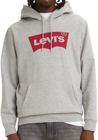 Худи с логотипом мужское / Серый / 56