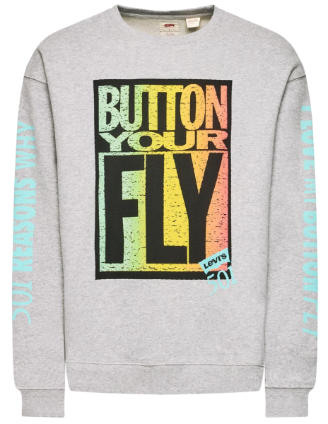 Свитшот с принтом мужской / Серый / 48