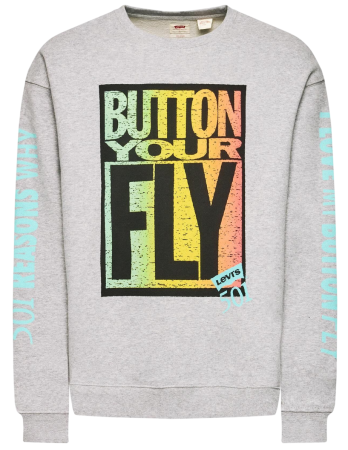 Свитшот с принтом мужской / Серый / 48