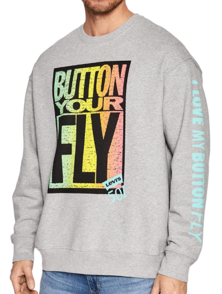 Свитшот с принтом мужской / Серый / 48