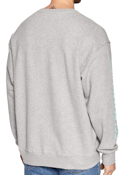 Свитшот с принтом мужской / Серый / 48