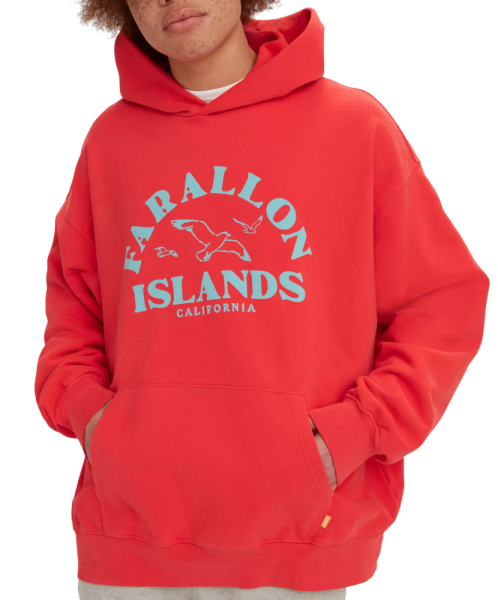 Худи с принтом мужское / Красный / 44