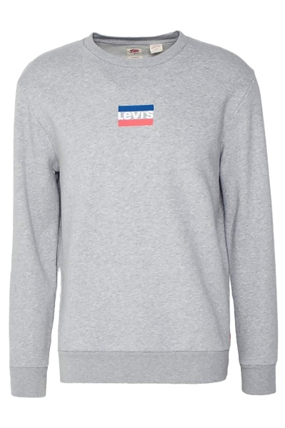 Свитшот с логотипом мужской / Серый / 46