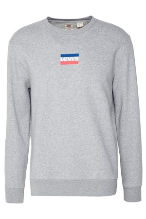 Свитшот с логотипом мужской / Серый / 46