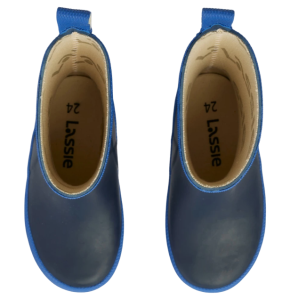 Сапоги резиновые для мальчика / Синий / 30