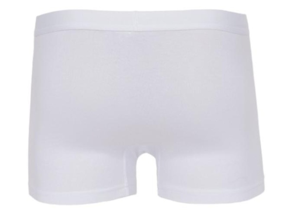 Трусы с хлопком мужские / Белый / 46