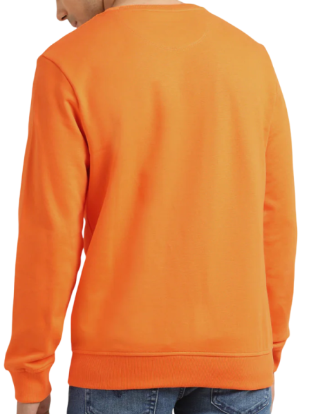 Свитшот хлопковый мужской / Оранжевый / 52