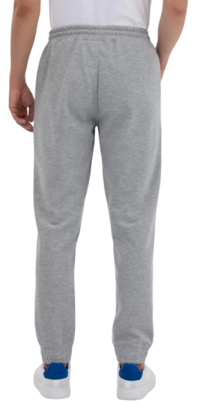 Брюки спортивные мужские / Серый / 46